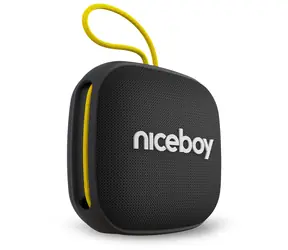 Niceboy RAZE Mini 4 čierna / Prenosný Bluetooth reproduktor / BT / IPX5 / 800mAh
