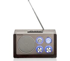 ROADSTAR HRA-1345NUS/WD strieborná / Rádiobudík / FM / DAB+ / RDS / 3.5mm 