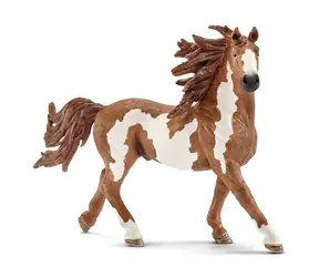 Schleich Farm WORLD 13794 Žrebec pinto / od 3 rokov