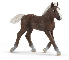 Schleich Farm WORLD 13899 Schwarzwaldský kôň žriebä / od 3 rokov