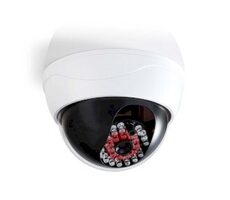 NEDIS DUMCD20WT - Atrapa Bezpečnostné Kamery Biela / Kamera s kopulovým krytom / IP44