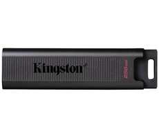 Kingston DataTraveler Max 256GB čierna / Flash Disk / USB 3.2 Gen 2 - (USB-C 3.1)