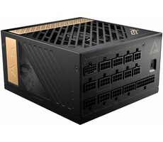 MSI MEG Ai1300P PCIE5 / ATX / 1300W / 80PLUS PLATINUM / Aktívne PFC / PCIe 5.0 / 120 mm