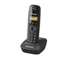 Panasonic KX-TG1611FXH / prenosný telefón / CLIP / pamäť na 50 mien / šedý