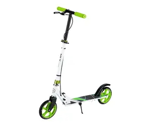 NILS Extreme HM0180 Skladacia kolobežka zelená