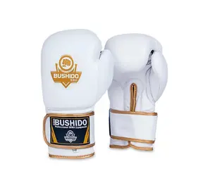 BUSHIDO Boxerské rukavice DBX DBD-B-2 vel.12 oz