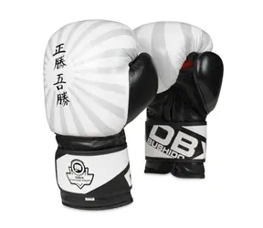 BUSHIDO B-2V8 12 OZ BOXERSKÉ RUKAVICE DBX 