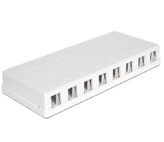 Delock Keystone Box 8-portový / na stenu