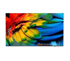 50&quot; PHILIPS 50HFL6214U/12 sivá / 4K UHD / LED / HDMI / USB / CI + / LAN / Wi-Fi / DVB-T T2 C / Android / 2x10W repro