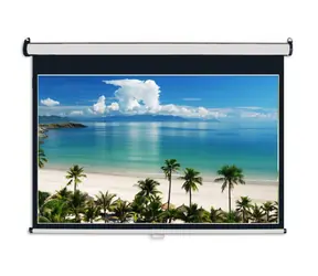 AVELI Nástenné projekčné plátno 175x109cm (16:10)