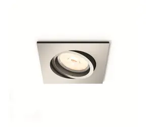 Philips Donegal 55W mat.chróm
