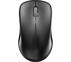 Rapoo 1620 čierna / bezdrôtová optická myš / 1000DPI / 2.4GHz / 3 tlačidlá