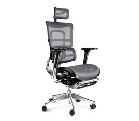 Diablo V-Master čierno-šedá / ergonomická stolička / nastaviteľné / sieťované / pojazdové kolieska / podnožka / nosnosť 150 kg