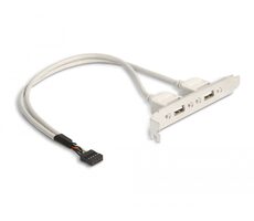 Delock Slot bracket 2 x USB 2.0 typ A (F) externý 0.3m biela