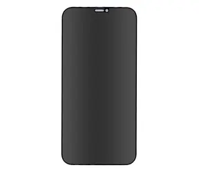 Forever Privacy Tvrdené sklo pre Apple iPhone 12 Pro Max 6.7"