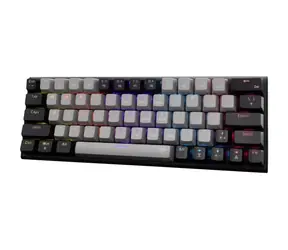 White Shark GK-002711V2 WAKIZASHI 2 šedo-čierna / herná mechanická klávesnica / US layout / USB / LED
