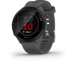 Garmin Forerunner 55 sivá / športové hodinky / 1.04" MIP / GPS / BT / ANT+ / 5 ATM / merač tepu / krokomer