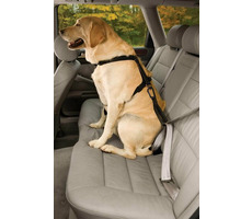 Kurgo Seatbelt Tether čierna / Bezpečnostný autopás pre psa s uškom