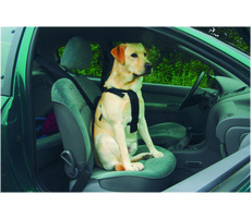 Beeztees Bezpečnostný postroj do auta S