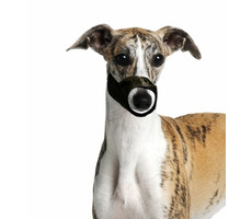 Karlie Náhubok pre psa nylon XS / obvod papule 15cm