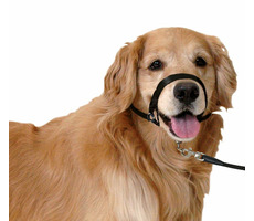 Karlie Ohlávka jednoduchá čierna M