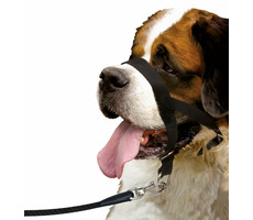 Karlie Ohlávka jednoduchá čierna XXL