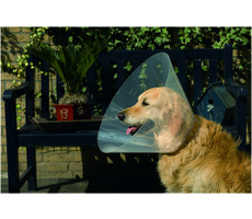 Beeztees Golier pre psov 38-44x20cm