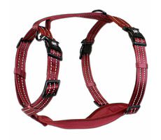 Alcott reflexný postroj pre psov červená - veľkosť L