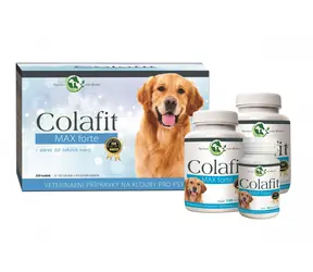 Colafit Darčekový balíček - veľký / Colafit Max forte 200 tob. + 50 tob.