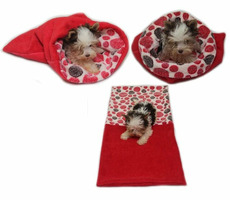 Marysa pelech 3v1 pre šteniatka &amp; mačiatka červená-červená kolieska