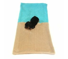 Marysa pelech 3v1 pre šteniatka &amp; mačiatka béžová-tyrkysová