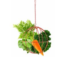 Flamingo Kŕmidlo pre hlodavce kovové červená