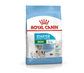 Royal Canin Mini Starter Mother &amp; Babydog - Poultry &amp; Rice 4 kg / Granule pre sučky a šteňa / do 10 kg