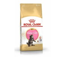 Royal Canin Maine Coon Kitten 4 kg / Granule pre mačky
