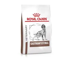 Royal Canin Veterinary Diet Dog Gastrointestinal 2 kg / Granule pre psov / diéta črevné problémy