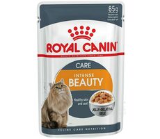Royal Canin Digest Sensitive Care 12x 85g / Kapsičky pre mačky / citlivé trávenie