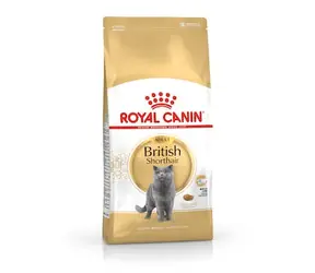 Royal Canin British Shorthair cats dry food Adult 10 kg