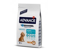 ADVANCE DOG MEDIUM Puppy Protect 3kg / Granule pre psy / pre šteňatá stredných plemien