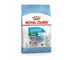 Royal Canin Mini Starter 1 kg / Granule pre psov