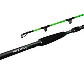 Delphin Prút Walkyra 2,6m 850g