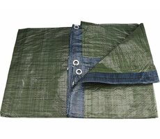 Extol-CRAFT Plachta PE nepremokavá STANDARD | 2x3m 