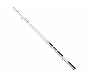 Daiwa Prút Seahunter X 2, 4M 100-200g