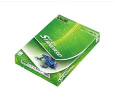 Europapier papier STANDARD , A4, 80g, 500 listov