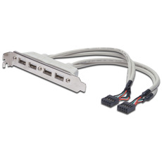 DIGITUS záslepka slotu s 4 USB portami / kábel 2x 10 Pin / 0.25m