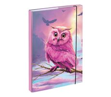 BAAGL Dosky na školské zošity A4 Sova / 23x32x3 cm