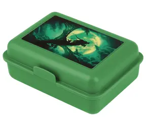 BAAGL Box na desiatu Drak