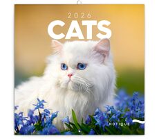 NOTIQUE Poznámkový kalendár Mačky 2026 - Západná / 30 x 30 cm