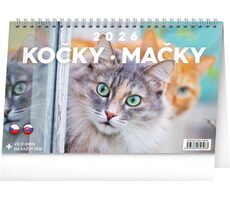 NOTIQUE Stolný kalendár Mačky - Mačky CZ/SK 2026, 23,1 x 14,5 cm