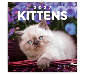 NOTIQUE Poznámkový kalendár Mačiatka 2027, 30 x 30 cm