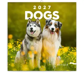 NOTIQUE Poznámkový kalendár Psy 2027, 30 x 30 cm